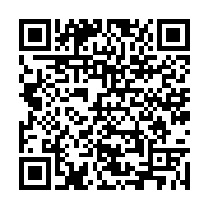 手中的玉衡剑也直接狠狠的朝着白衣老者身上斩去二维码生成