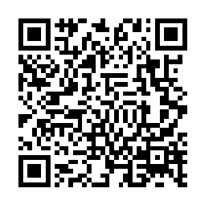 手中的长剑也是直接朝着一个神通境界的武者的身上斩去二维码生成