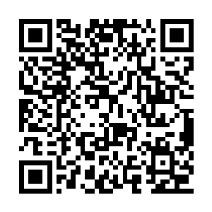 手中的长剑直接朝着杨戬两个人的身上席卷而来二维码生成