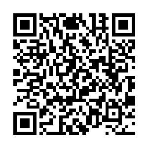 手中那有六十厘米长的硬弹簧钢鞭带着坚硬的金属头二维码生成