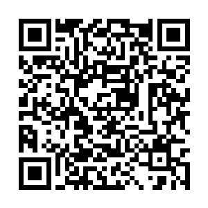 手中龙神刃霍然间好像成了一条活生生的猛龙似的二维码生成