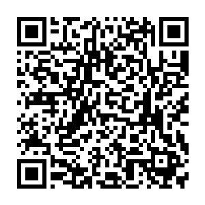 手包之类基本上是跟着嫂子们买的时候都会轻描淡写的要求她俩自己去选一件二维码生成