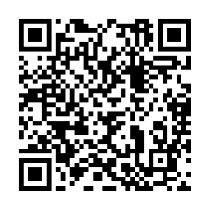 手底下竟然心甘情愿簇拥着一批修为骇人的大能者二维码生成
