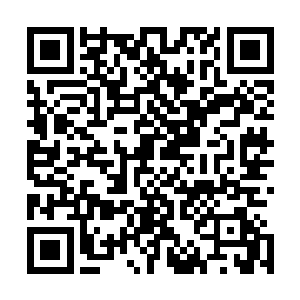 手指一动才后知后觉地发现芮阁竟然光明正大地拉着她的手二维码生成