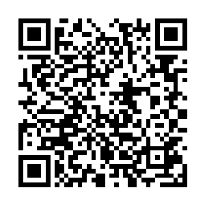 手掌中的符咒本源符球射入那道极薄透明状封印中二维码生成