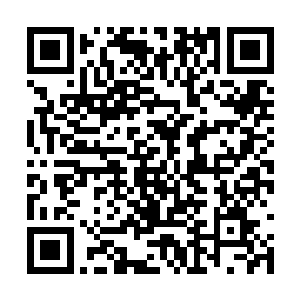 手掌摁在黑炭的腹部施法强行催化星华仙草的药效二维码生成