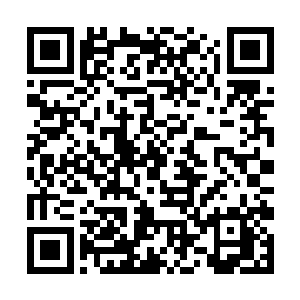手有一下没一下跟摸什么一样的摸着按棵柳树朝我道二维码生成