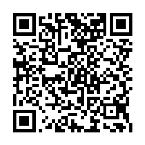 手机微微轻颤的拨下那个早就熟记在心中的号码二维码生成