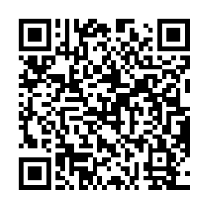 手机还是她上去听歌的时候怕突然有人来电话才关上的二维码生成