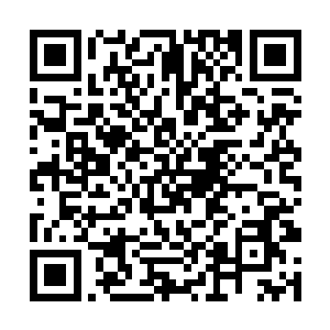 手脚筋断骨折的魔族男爵只是用自己的身躯在扭动着二维码生成