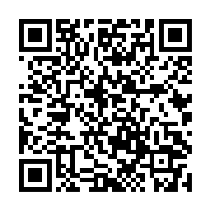 手臂受伤的两个人经过青云的治疗伤口已经基本稳定二维码生成