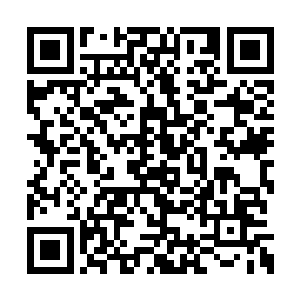 手里的矿石材料灵丹什么的对她也不是那么重要二维码生成