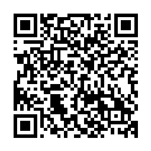 手镯的造型一亮出来顿时引起了下面有些爱美的女子的一片娇呼二维码生成