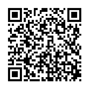 才会出动了如此之大规模的妖军在搜索他的下落二维码生成