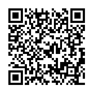才会出现了当年轰动天下的道主和剑奴的争锋后来二维码生成