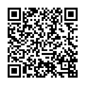 才会把这样的场面都营造得好像两个人逛公园谈恋爱二维码生成
