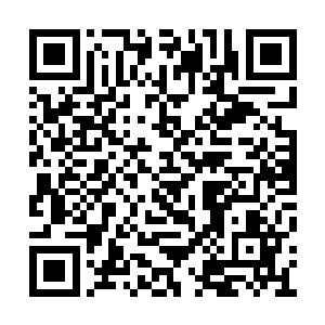 才刚刚激起了米琳埋藏在心中十几年的憎恨之意二维码生成