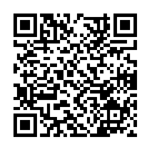 才华横溢资质过人的天丹师杨开因为修为进展太快二维码生成