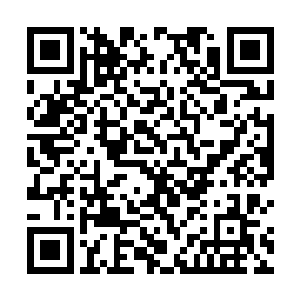 才发现自己为了防止颠簸拴住的背包带锁扣挂在拉手上二维码生成