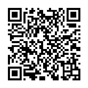 才发觉昏睡了那么久自己竟然没有梦到前世的事情二维码生成