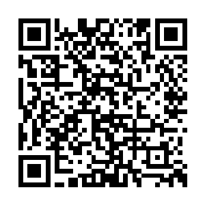 才可以把他面对小叔所产生的那种悲凉中拉出来二维码生成