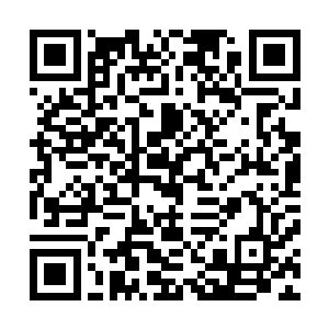 才可以解释为什么生态圈里面的循环可以维持这么久的时间二维码生成
