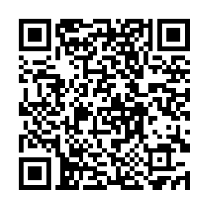 才响起一道十分稚嫩却又带着刻意压低的沉稳的声音二维码生成