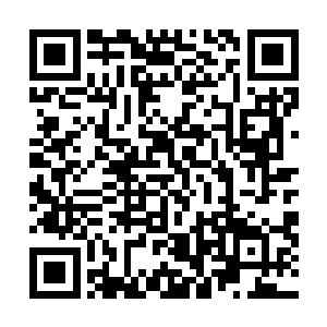 才回过神来的陈叔连忙拿了一炷香和烛到了雪儿的面前道二维码生成