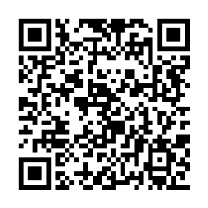 才在茫茫的贝壳中找到了那一个颇不显眼的贝壳二维码生成