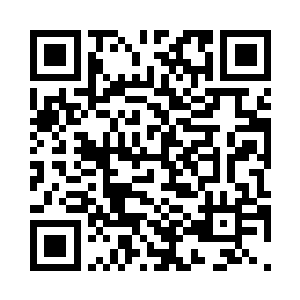 才堪堪抵达那湖心宫殿所在的小岛上二维码生成