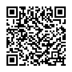 才导致马长老想要将小女子在返家的途中绑走吧二维码生成