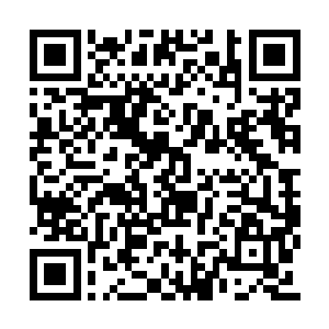 才想起这家伙手上还有一箭射杀彩莲修士的玩意二维码生成