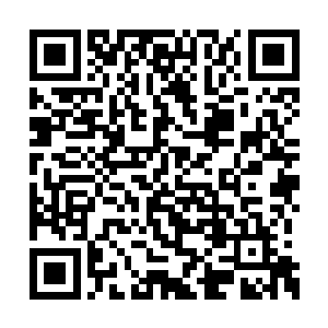 才把枪口对准了一个从地上爬起来的人开了一枪二维码生成
