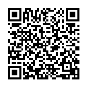 才来到这乾坤之外一年多时间就有机会凝练火行之力二维码生成