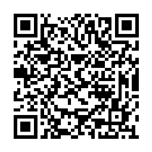 才瞄准了诺贝尔奖获得者……身后的诺贝尔随员二维码生成