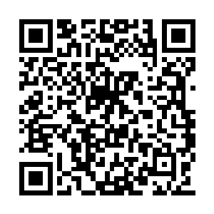 才终于给了唐劫一丝感受这天地喜悦之情的机会二维码生成