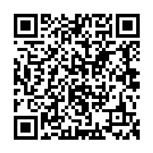 扎入他丹田之内和扎入他脖颈间的四根诡异妖藤二维码生成