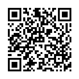 扑上去又是对着其中一个的脑袋狠狠砸下二维码生成