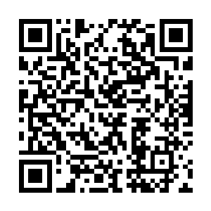 扒拉着贴心的八斤给自己的主子准备的齐全的糕点蜜饯二维码生成