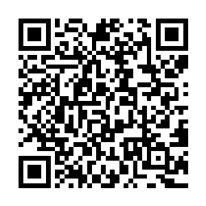 打上那贵的吓人的外国领带后确实很像那些商界精英二维码生成