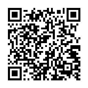 打在脸上的不知道是同伴的血液还是掀起的雪和沙二维码生成