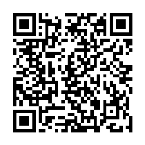 打坐的我隐约还发现了好几次即墨莹想要靠近这里的气息二维码生成