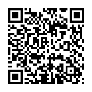 打开全频道对着其下所属的所有军人和便衣怒吼道二维码生成
