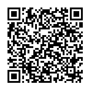 打开房门却发现男神就在紫藤花架下看书……男神还抬头看了她一眼二维码生成