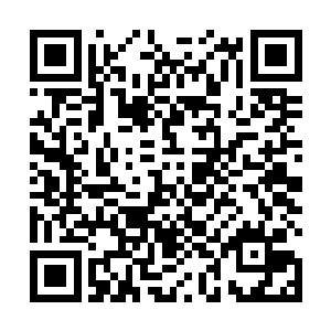 打断一条腿和两条腿和五十步笑百步并没有太大的区别二维码生成