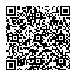 打猎的前几次把猎物抓的鲜血淋漓的弄了一院子后来被说了一通之后打猎就不那么粗暴了二维码生成