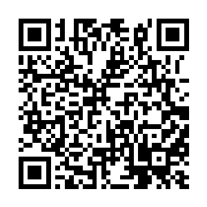 打红眼的徐怀瑾亲自带领着清军硬生生的靠着刺刀二维码生成