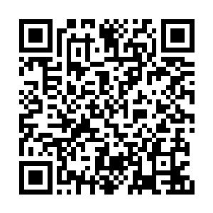 打野以及辅助却全都是初次踏上职业联赛的新人二维码生成