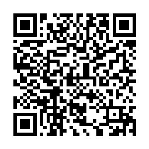 扔下一句话的燕北虹直冲围攻苗毅的那群红莲修士二维码生成