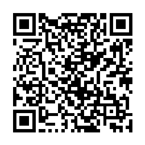 扔下来喜在客栈稀罕那些平时根本舍不得买的稀奇玩意儿二维码生成